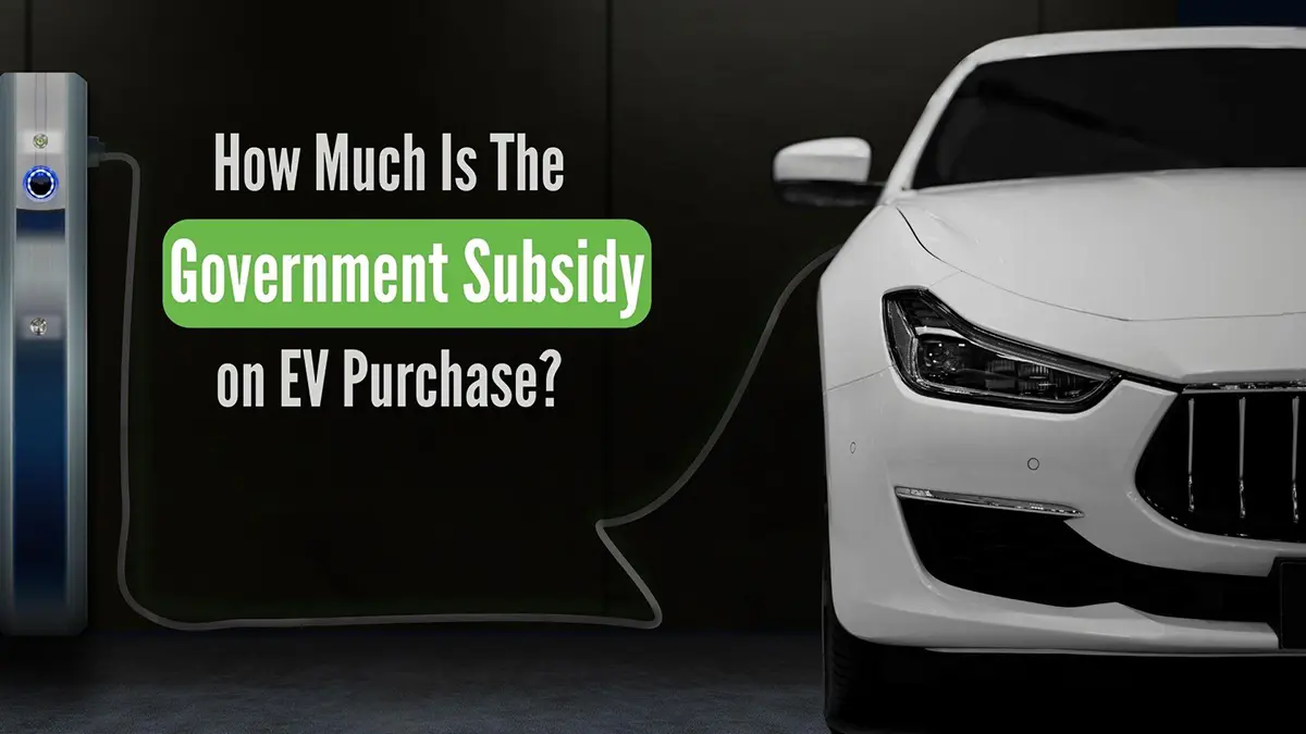 Government Subsidy on Electric Cars