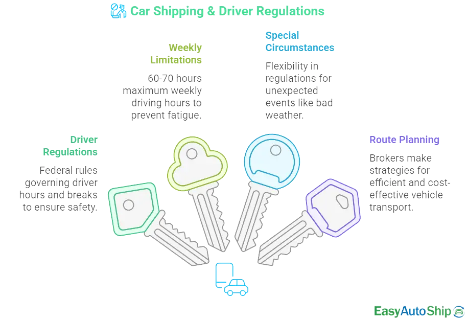 Car Shipping and Driver Regulations