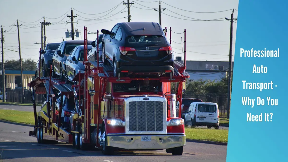 Professional Auto Transport - Why Do You Need It?